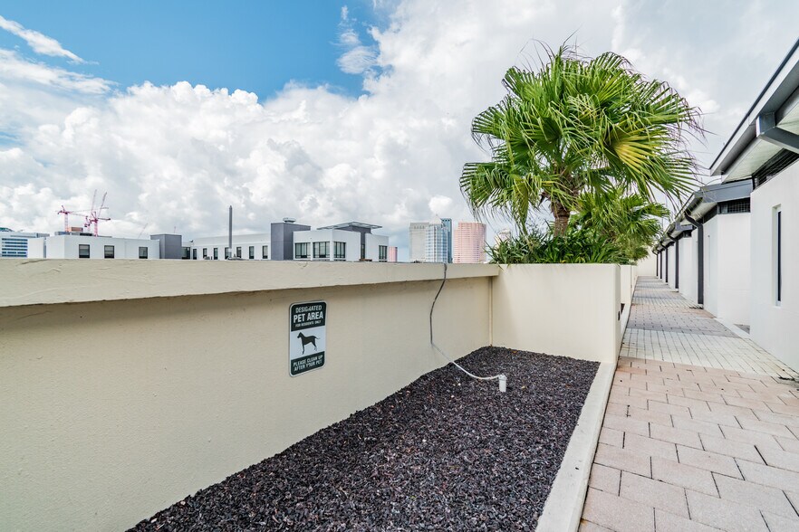 Pet walking area - 1120 E Kennedy Blvd