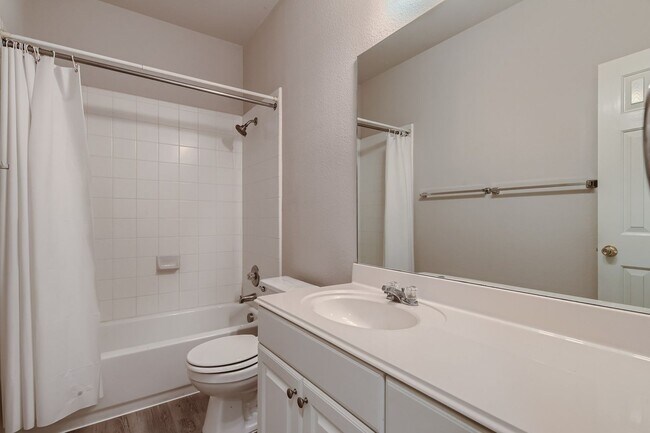 Building Photo - One-Story Beauty in Stone Oak