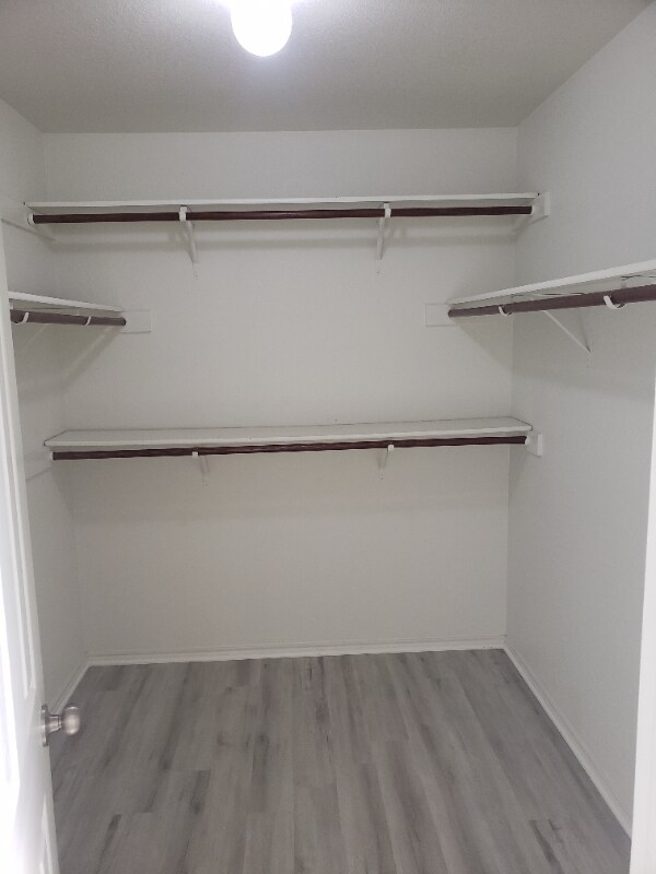 Building Photo - 1121 Dixon Cir