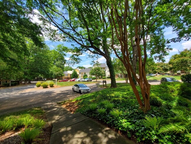 Building Photo - 3200 Selwyn Farms Ln