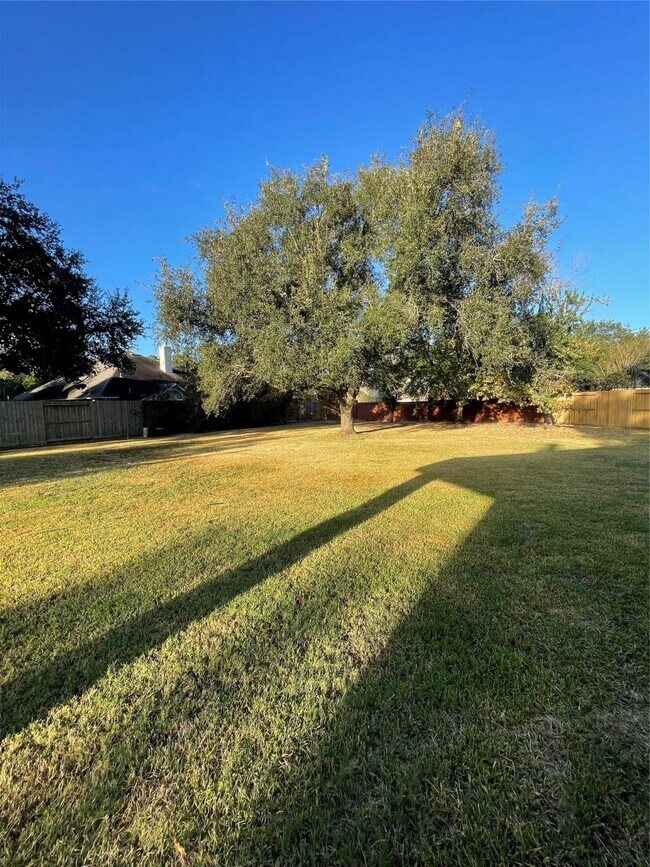 Building Photo - 16507 Shady Canyon Ct