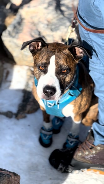 Building Photo - 461 W 71st Ave