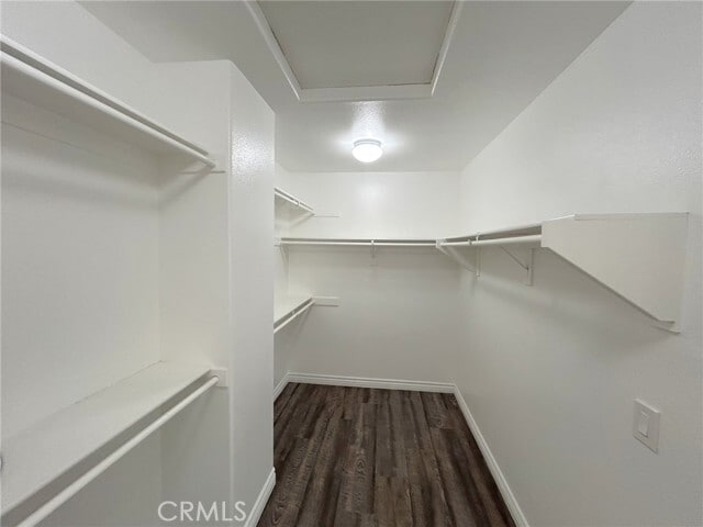 Building Photo - 11257 Shore Ct