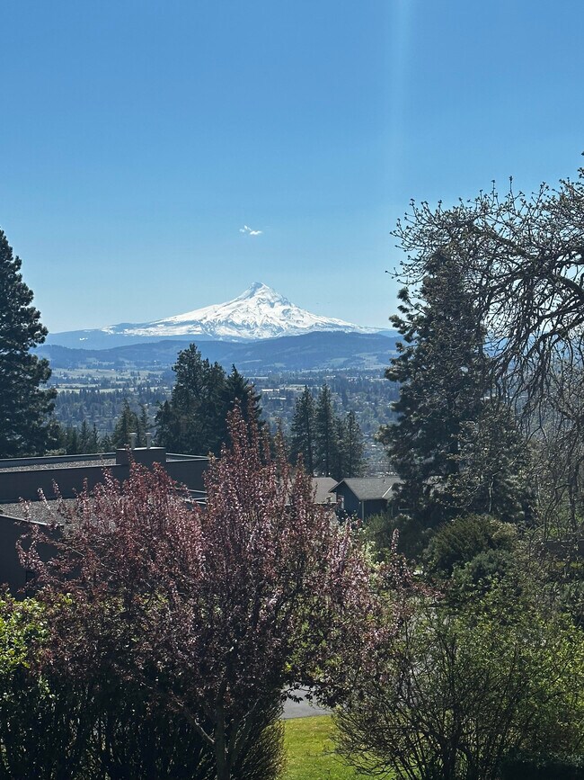 Mt Hood View - 737 Cherryview Ln
