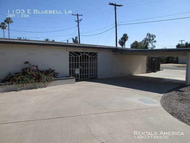 Building Photo - NO HOA!