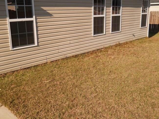 Building Photo - 3 BR 2 BA in Hahira
