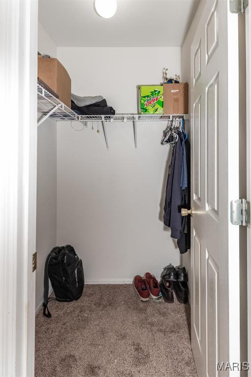 Building Photo - 3431 Rockwood Forest Ct