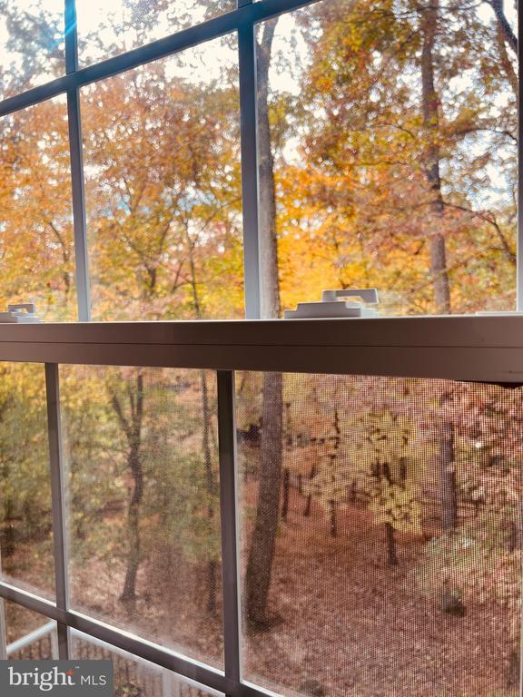 Building Photo - 1509 Snughill Ct