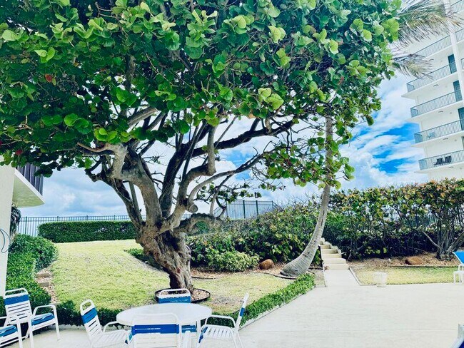 Building Photo - 5420 N Ocean Dr