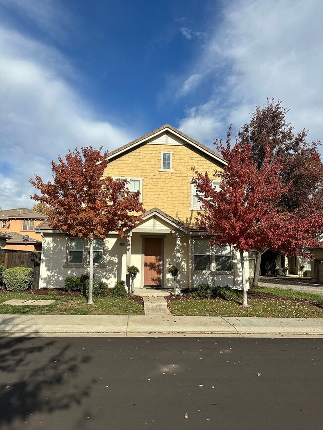 Primary Photo - Patterson Stunner