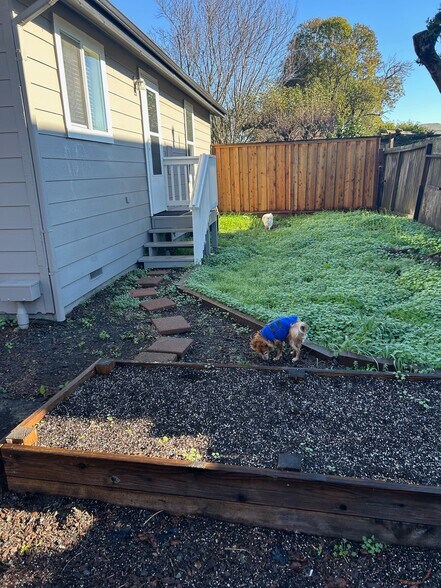 Side Yard - 540 Shortt Rd