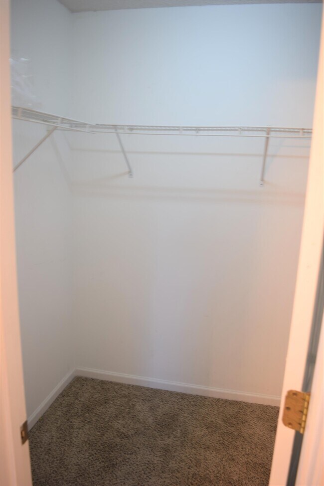 Building Photo - 3317 Alderpoint Ln