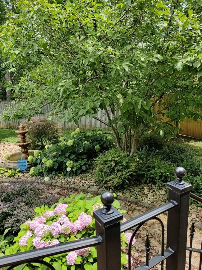 Building Photo - 4 BR 2/2 BA Large Fenced in Back Yard! Chef's Kitchen! Upstairs Bonus Room! 2 Car Garage