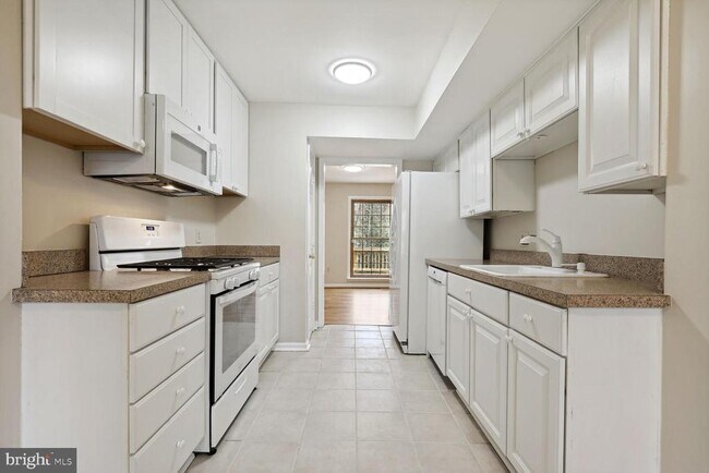 Building Photo - 1535 Chatham Colony Ct