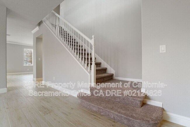 Building Photo - 4909 Concordia Dr