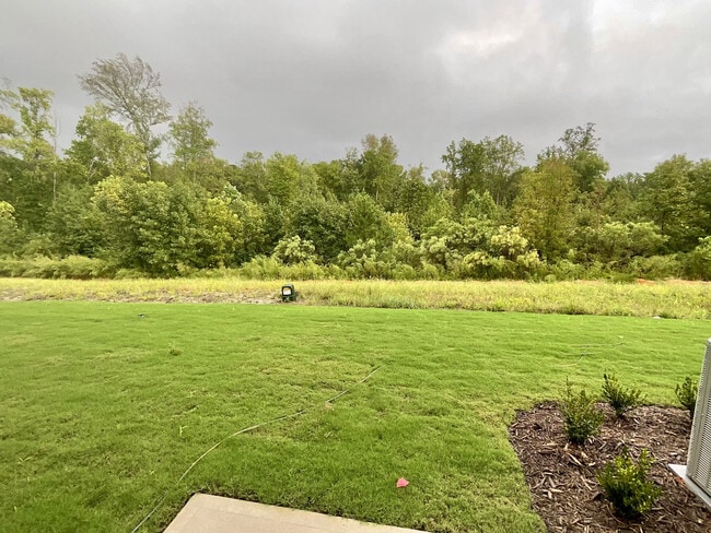 Back yard - 235 Sweetbay Tree Dr