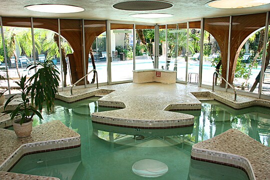 Spa/Pool area - 5266 Lindley Ave