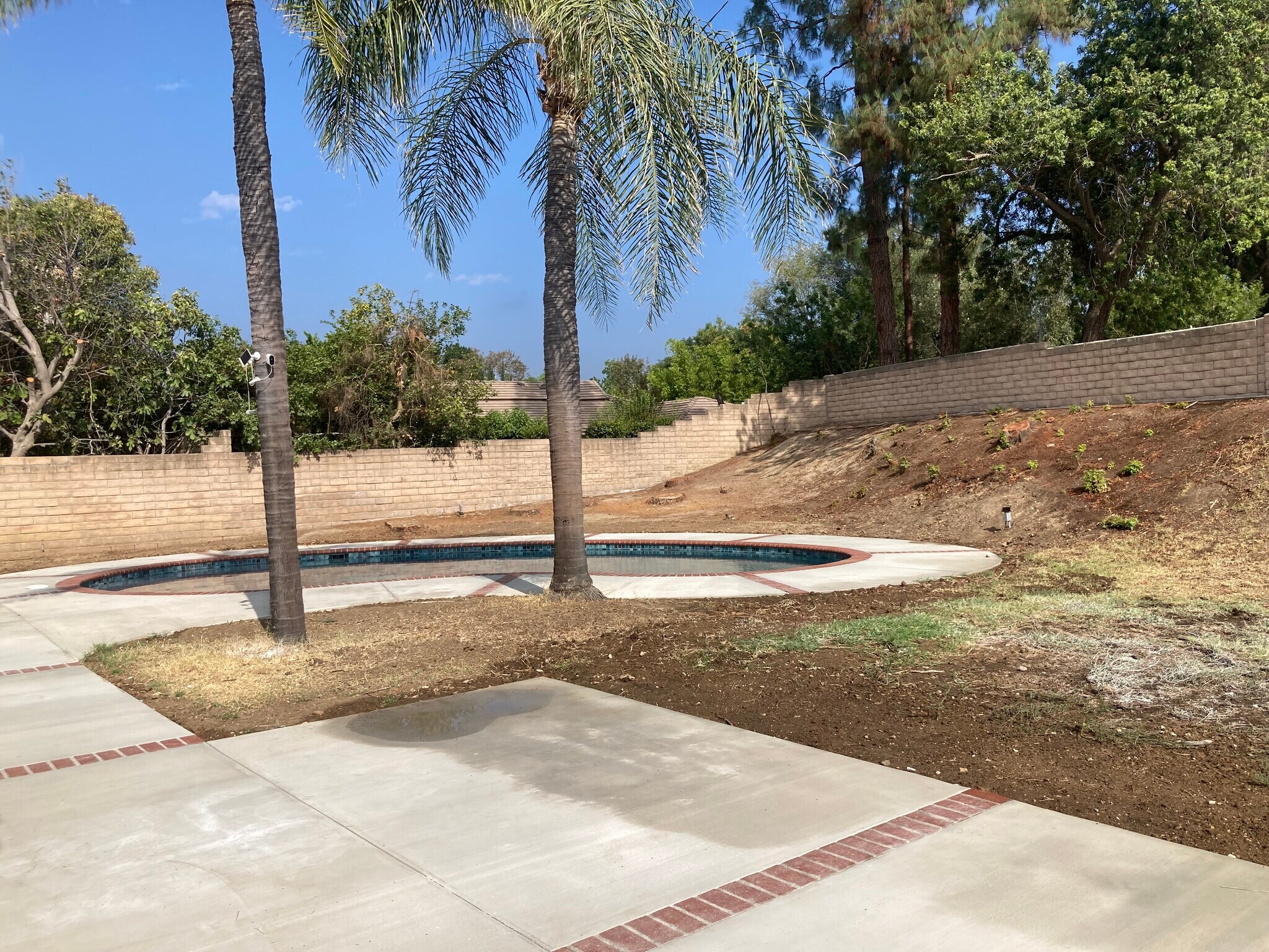 Backyard - 20333 Germain St