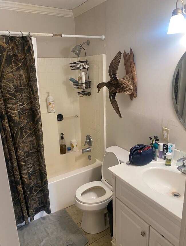 Building Photo - Overstreet Drive