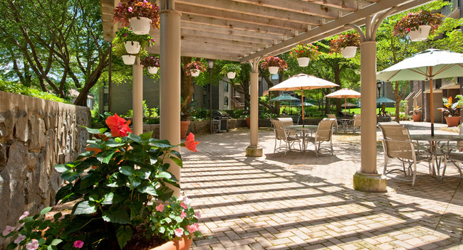 Outdoor Courtyard - PeachTree of McLean