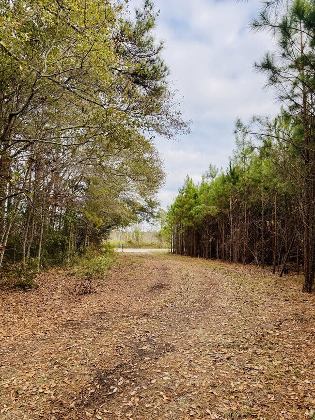 Building Photo - 2689 Fowler School Rd