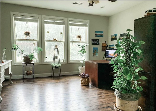Building Photo - Luxurious 4-Bed, 4-Bath Wake Forest Retrea...