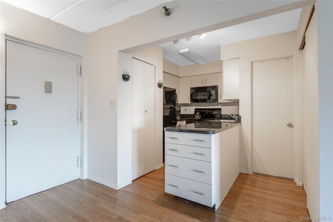 Building Photo - 205 Mineola Blvd