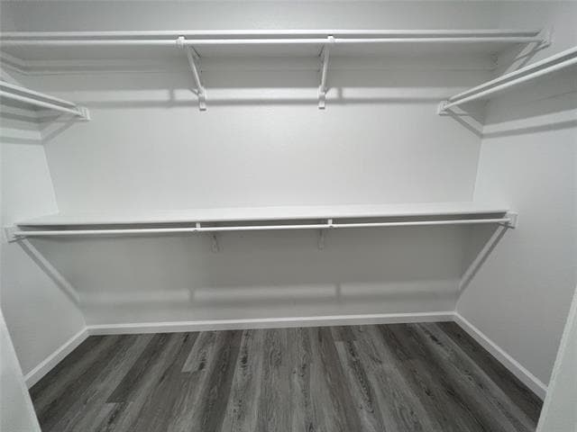 Building Photo - 1437 St Gallen Ln