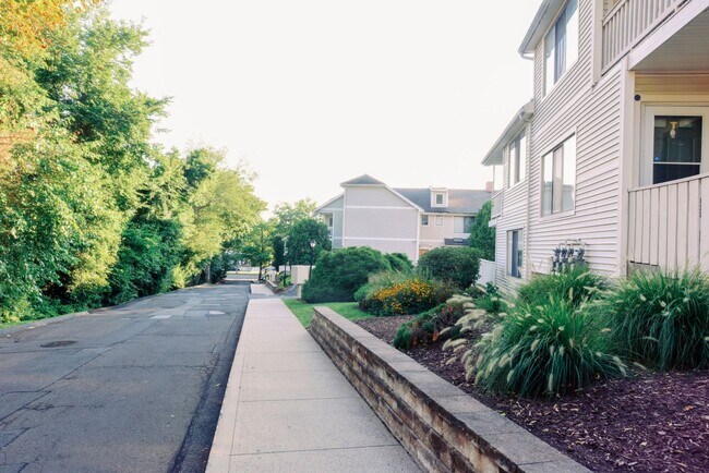 Building Photo - Beautifully Renovated 1bd Condo
