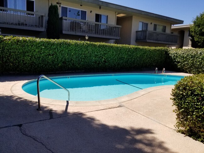 Swimming pool - 3515 Chestnut Ave