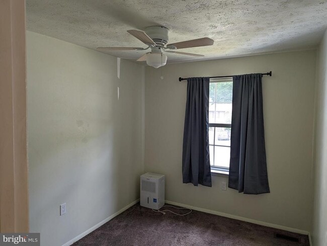 Building Photo - 1317 Old Pine Ct