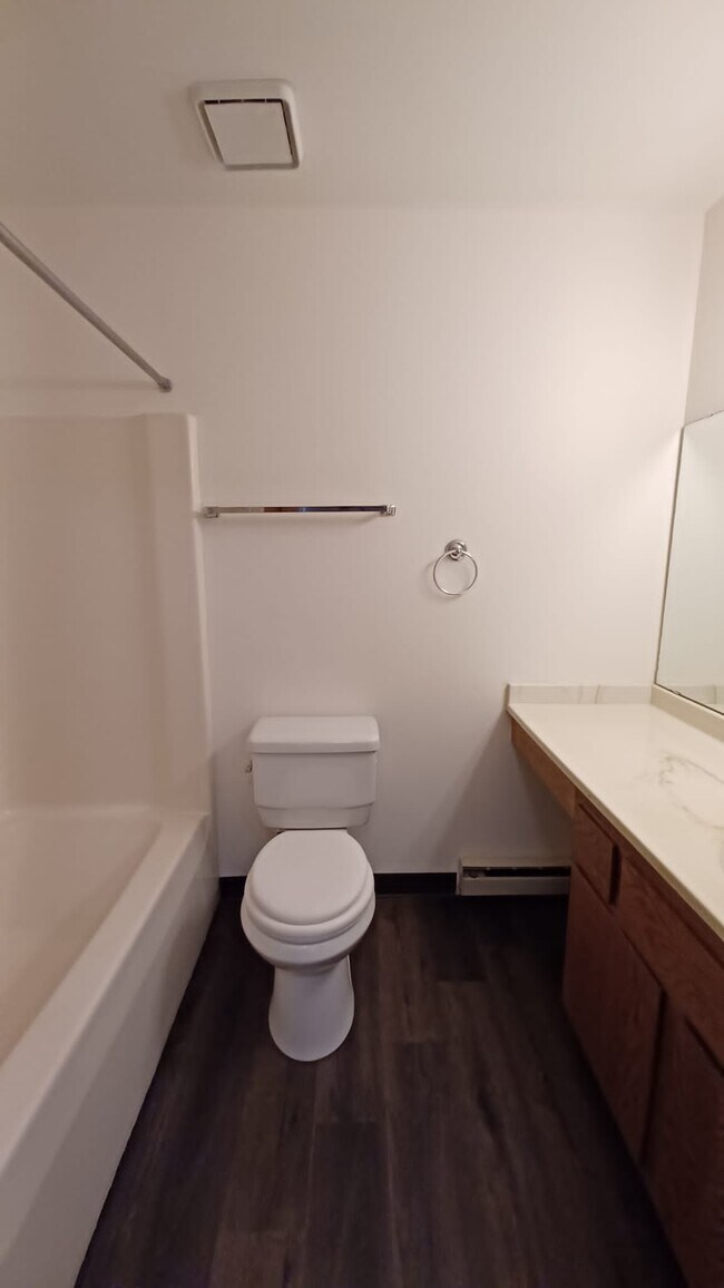 Master full bathroom - 204 Ski Ct