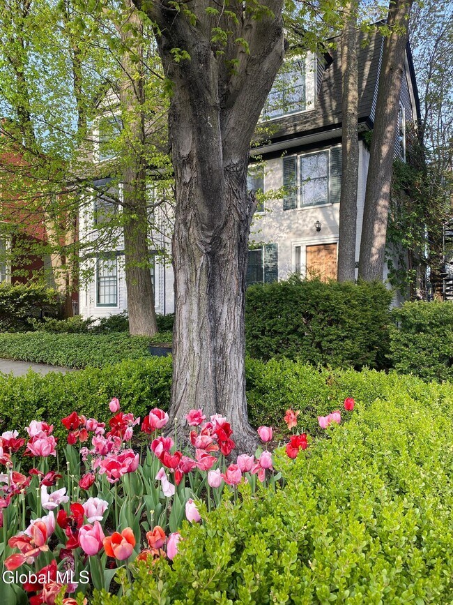 Building Photo - 590 N Broadway