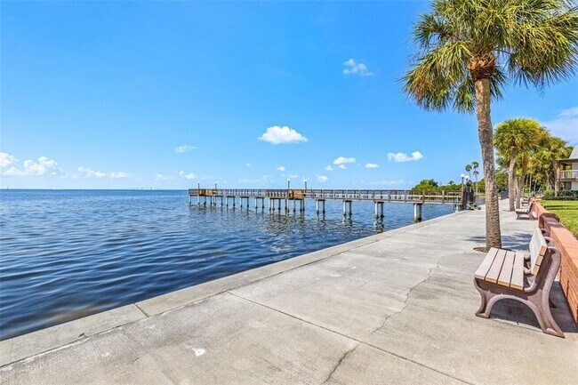 Building Photo - 650 Pinellas Point Dr S