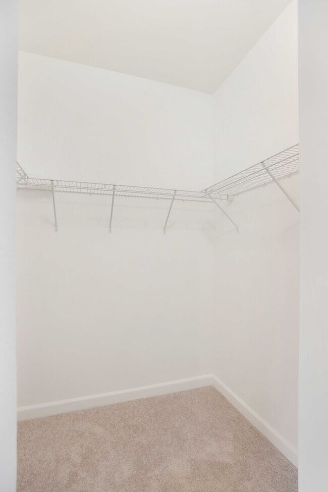 Building Photo - Brand new Townhome 3/2.5  Maximum 2 Cars