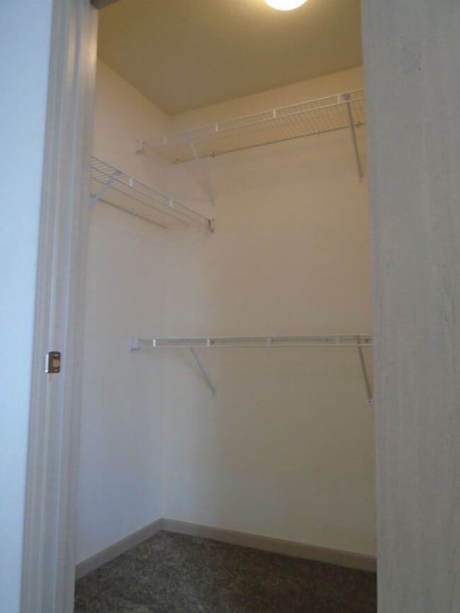 Building Photo - Spacious Apartment