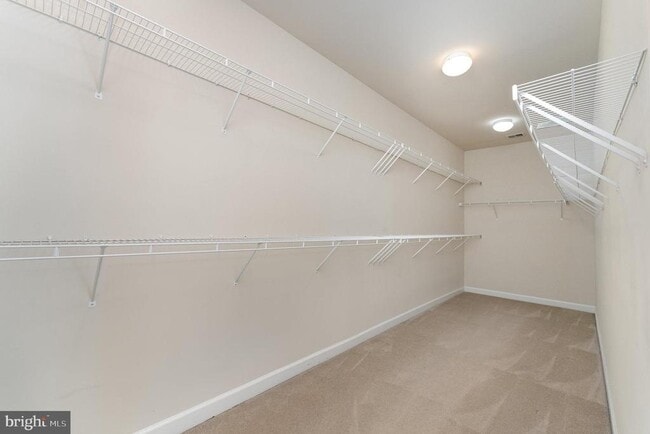 Building Photo - 4203 Talon Dr