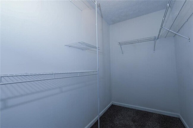 Building Photo - 790 Celeste Ln