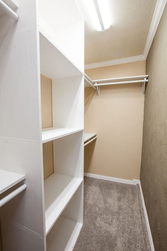 Building Photo - 5713 Baker Dr