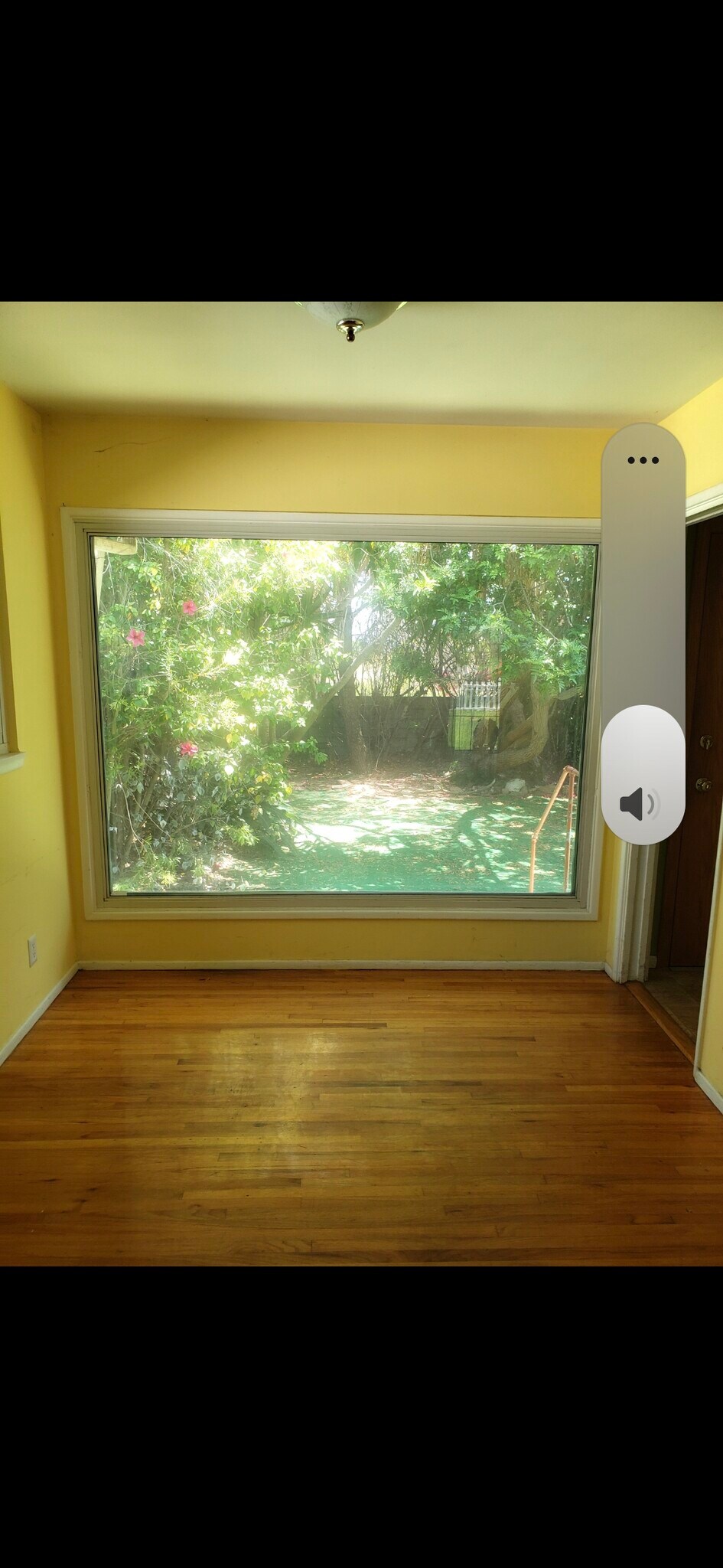 Picture window - 7116 W 91st St