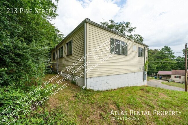 Building Photo - 213 Pine St