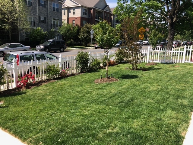 Building Photo - 2909 Cherry St