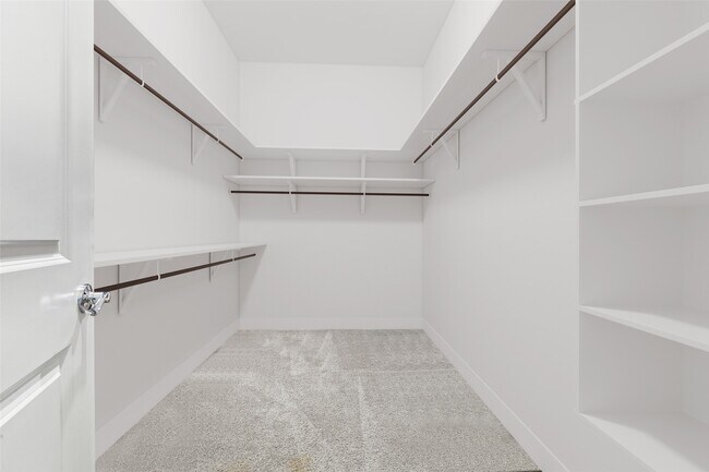 Building Photo - 12025 Royal Oaks Run Dr