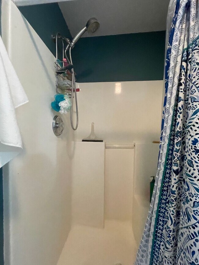 Building Photo - PRE-LEASING - Fully Furnished 6mo Short Term Rental in Ozark