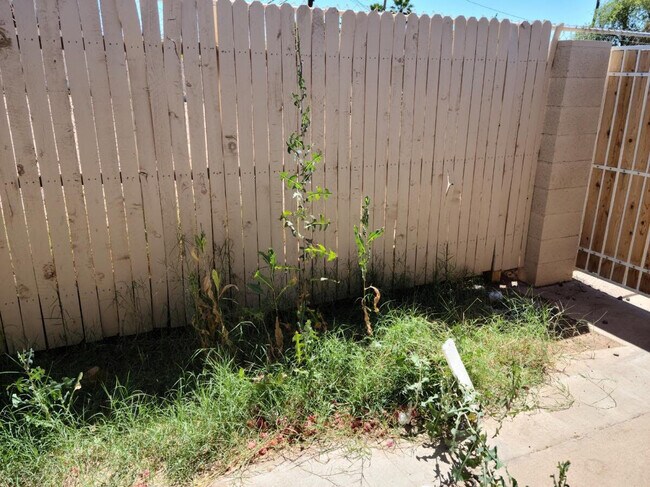 Building Photo - 1223 W University Dr