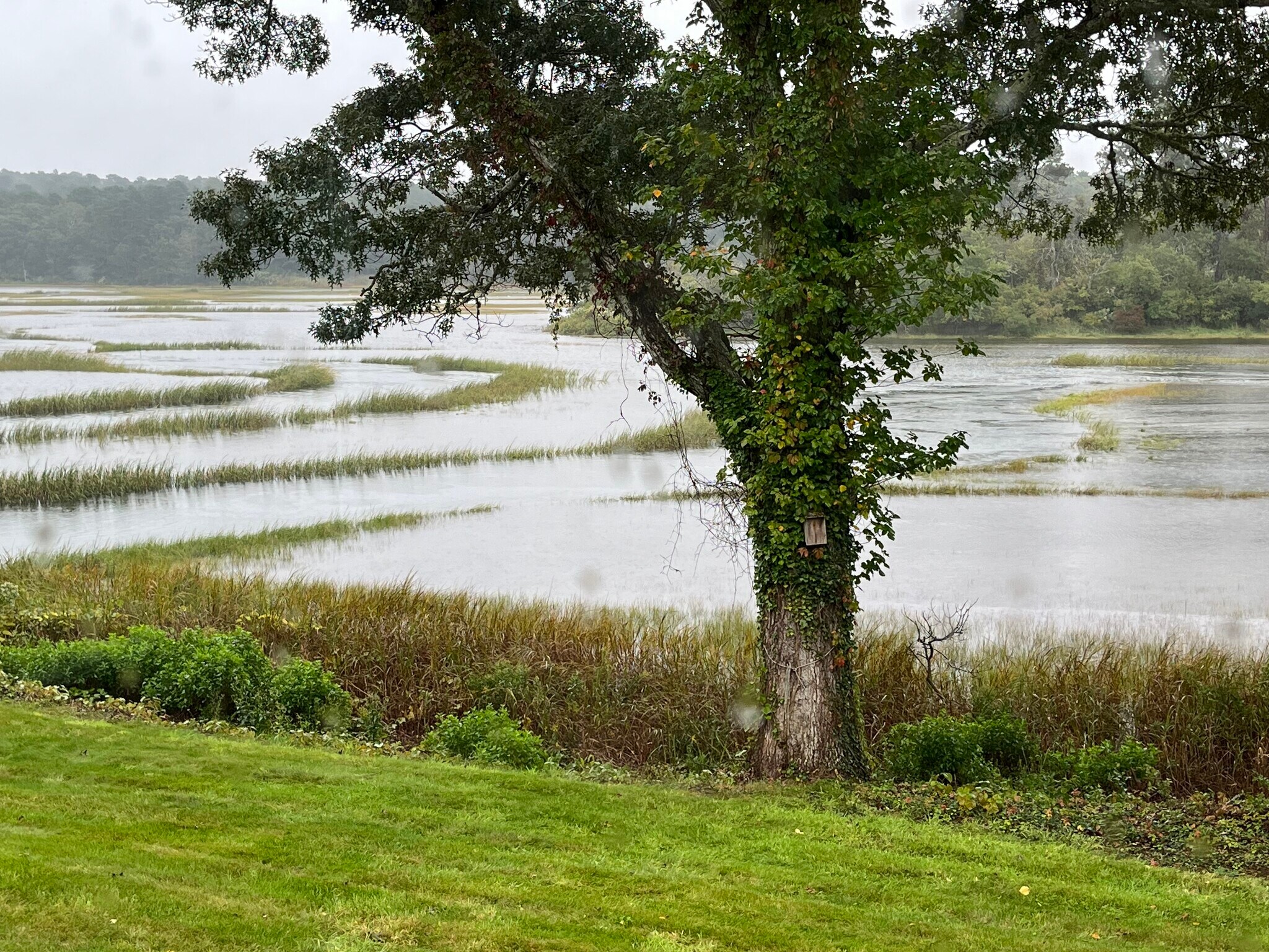 Building Photo - 58 Lookout Rd