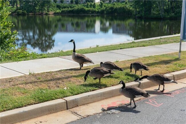 Building Photo - 557 Aberdeen Mdw Ln