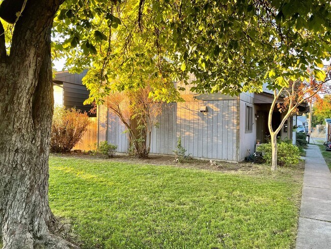 Front Yard - 417 E Wabash Ave