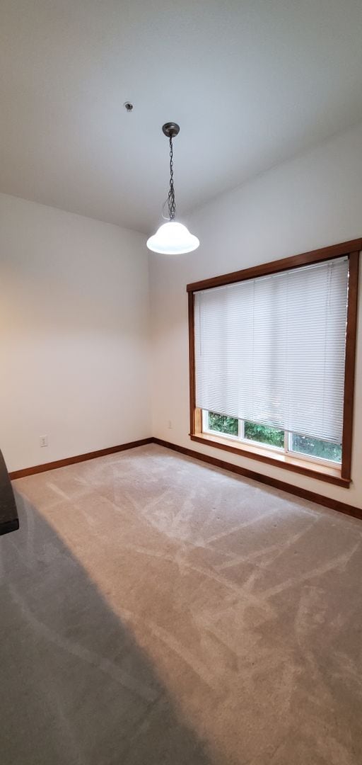 Building Photo - 2 Bedroom Condo in Cordata Neighborhood fo...