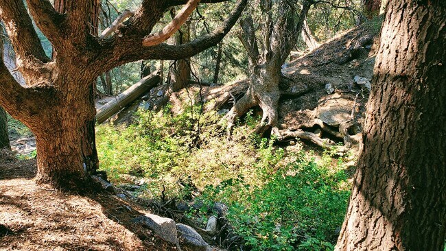 Building Photo - 15000 Geneva Ct